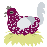Unknow name, a wine and mist chicken with a speckle pattern
