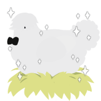 A black chicken