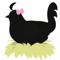 A black chicken