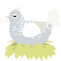 A mist and white chicken with a half-lace pattern