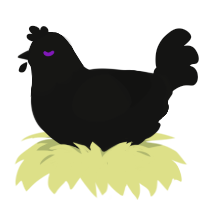 Enderman, a black chicken with a head pattern