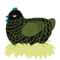 Moss, a black and olive chicken with a lace pattern