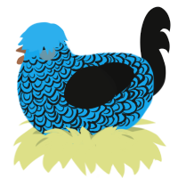 A sky and black chicken with a double-lace pattern