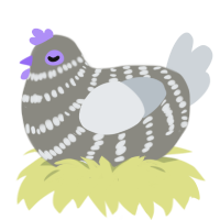 (unnamed), a ash and mist chicken with a bar pattern