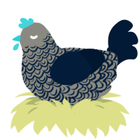 A ash and tumblr chicken with a double-lace pattern