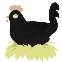Crow, a sable and black chicken with a half-lace pattern