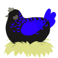 borb - free, a sable and indigo chicken with a half-lace pattern