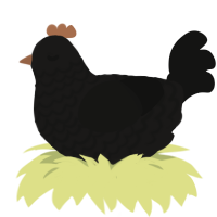 (unnamed), a sable and black chicken with a lace pattern