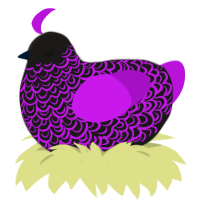 Wine Ocean, a sable and amethyst chicken with a double-lace pattern