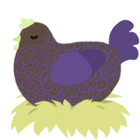 Cocoa, a bark and overcast chicken with a double-lace pattern