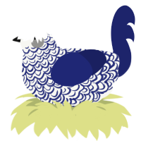(unnamed), a white and navy chicken with a double-lace pattern