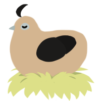 Sesame, a beige and sable chicken