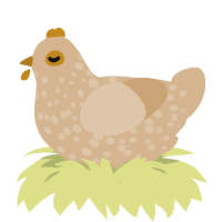 Trapper John, a beige chicken with a speckle pattern