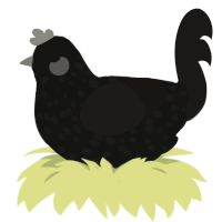 Emo son, a black and sable chicken with a speckle pattern