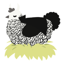 A white and black chicken with a double-lace pattern