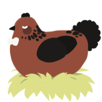 Cortado, a russet and sable chicken with a neck-speckle pattern
