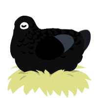Right in Two, a white and cream chicken with a half-lace pattern