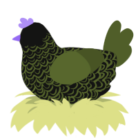 Sunset Love S, a black and olive chicken with a double-lace pattern