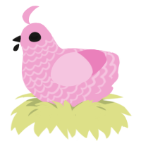 (unnamed), a pink chicken with a lace pattern