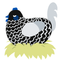 A black and mist chicken with a lace pattern