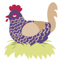 ʻĀkia, a overcast and beige chicken with a lace pattern