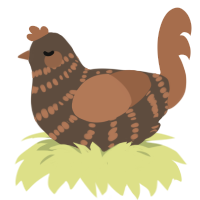 Mousse, a bark and brown chicken with a bar pattern