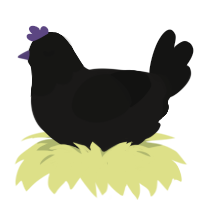 Obscure, a sable and black chicken with a head pattern