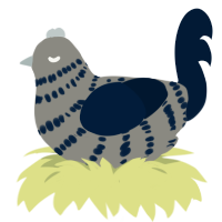 (unnamed), a ash and tumblr chicken with a bar pattern