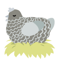 Trinket, a ash and silver chicken with a lace pattern