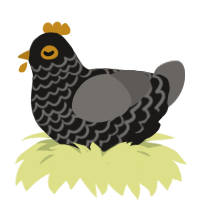 Beautiful Baby Boy, a sable and grey chicken with a lace pattern