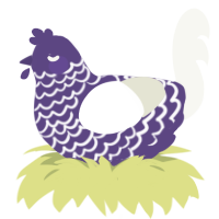 Athena, a overcast and white chicken with a lace pattern