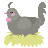 weird dog, a ash chicken with a head pattern