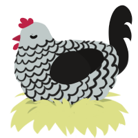 Dont Get Close, a silver and sable chicken with a lace pattern