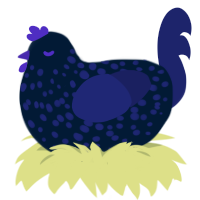 Blooberry, a tumblr and navy chicken with a speckle pattern