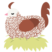 tiles jr, a white and russet chicken with a double-lace pattern