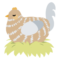 branklin, a beige and mist chicken with a bar pattern