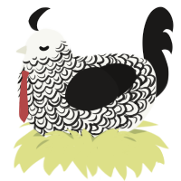 Mortimer, a white and sable chicken with a double-lace pattern