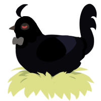 KET, a white chicken with a head pattern