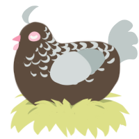 A bark and silver chicken with a half-lace pattern