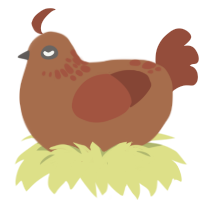 Rustina, a brown and russet chicken with a neck-speckle pattern