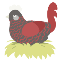 Ugly Duckling, a grey and red chicken with a lace pattern