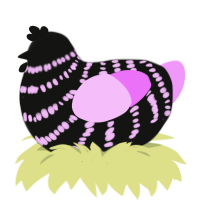 Tigerstar, a black and lavender chicken with a bar pattern