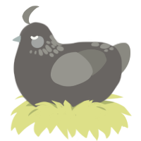stormy skies, a grey and ash chicken with a neck-speckle pattern