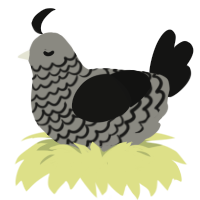 Black Lace, a ash and black chicken with a lace pattern