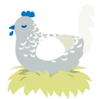 A silver and white chicken with a half-lace pattern