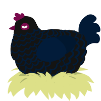 Paranoid, a black and tumblr chicken with a lace pattern