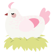 Fraiser, a white and rose chicken with a half-lace pattern