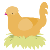 Floral Arrangement, a honey chicken