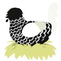 A black and white chicken with a lace pattern