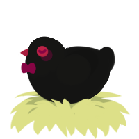 Astaroth, a black chicken with a head pattern